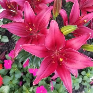 Meet your Posher, Leah